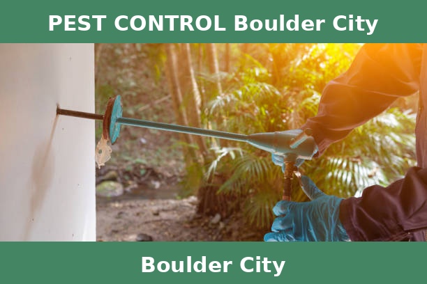 PEST CONTROL Boulder City